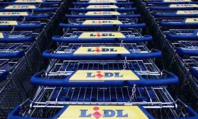 Lidl начинает экспанисию в России