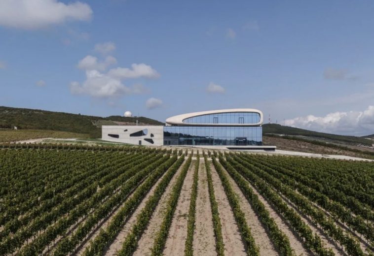 Винодельня Côte Rocheuse построена в Краснодарском крае по проекту Александра Балабина